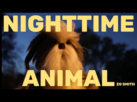 Nighttime Animal (Official Music Video) - ZG Smith