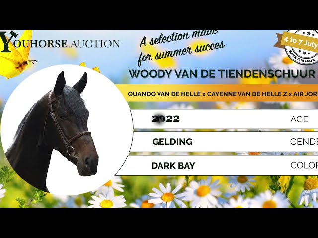 Woody homevideo