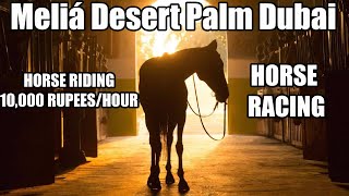 DUBAI'S 65 Hectare POLO ESTATE - MELIA DESERT PALM RESORT- PREMIUM CLUBS |दुबई क