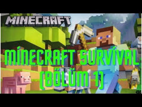 İLK VİDEO MİNECRAFT SURVİVAL(BÖLÜM 1)