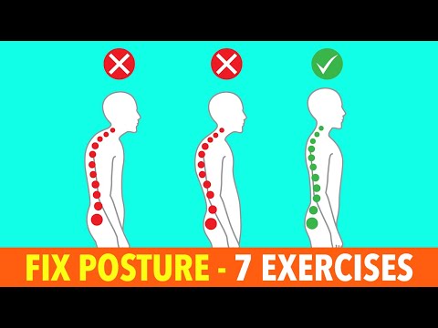 Best Exercises To Help Lower Back Pain