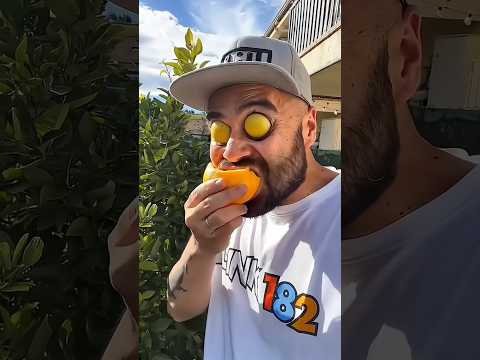 Want to try my oranges orange 🍊 ✨ #asmr #comedy #funny