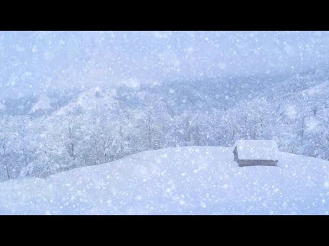Neve Rilassante | Suono della Neve che Cade