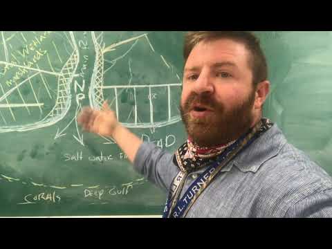 AP Enviro: Estuaries & Coastal Habitats