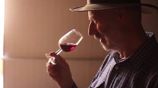 Entwined Festival - Swan Valley