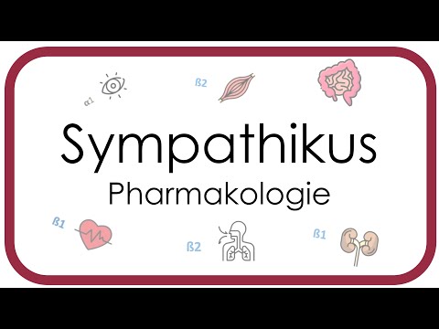 Autonomic nervous system - Sympathetic nervous system - Pharmacology