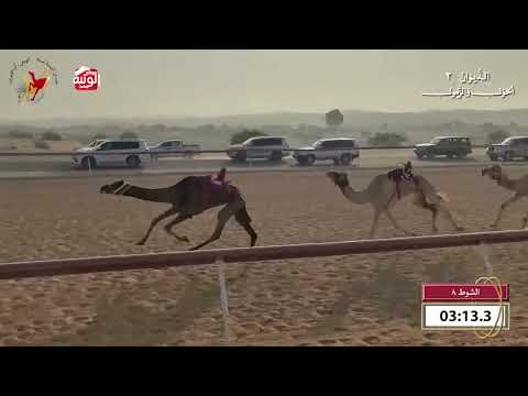  ش 8 (سلام) لـ  احمد سلطان بالرشيد السويدي 9:44 , شارة الديوان 2 2026/10/18 اللبسه حول زمول  