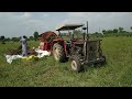 Sesame Harvesting With MF 240