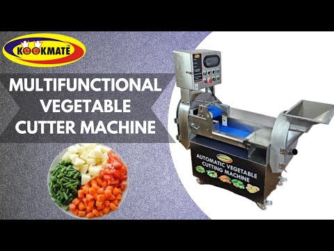 Multifunctional Commercial Vegetable Cutter Machine - Conveyor belt vegetable cutting machine