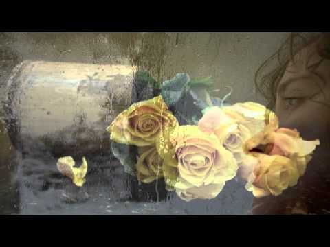 16 růží - Jakub Smolík