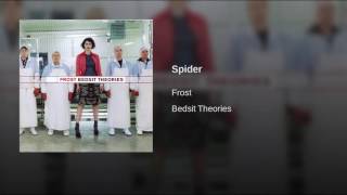 Spider