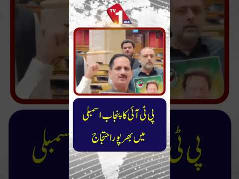 پی ٹی آئی کا پنجاب اسمبلی میں بھرپور احتجاج