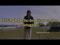 Blossoms - Meet Me In Love (traducida al español)