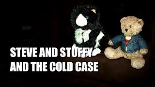 Steve and Stuffy and the Cold Case