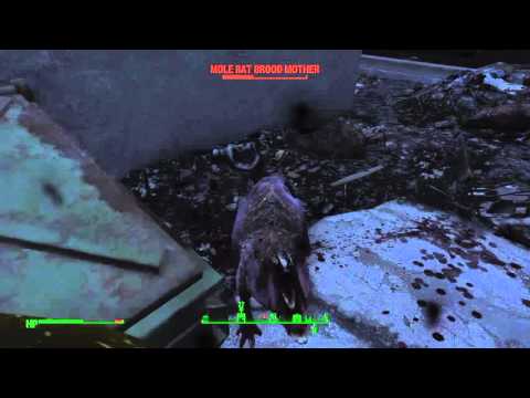 Fallout 4 - Pt 43
