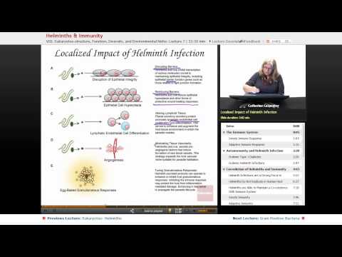 Papilloma virus e vaccini