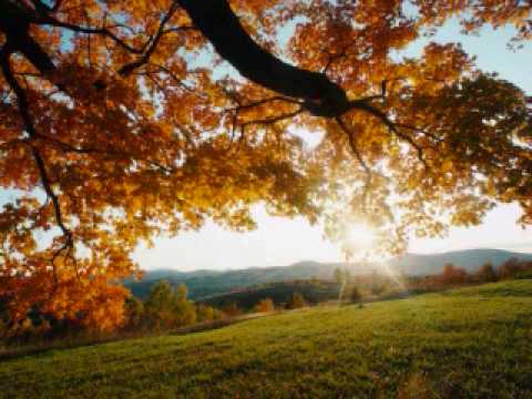 Javah Feat Xan - Vice Of Life (original mix)