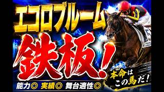 【競馬予想】エコロブルーム激熱！今回は絶対に狙いたい理由を徹底解説　京成杯オータムハンデキャップ