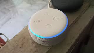 Why Amazon Alexa Echo