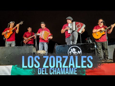 LOS ZORZALES DEL CHAMAME - FESTIVIDAD DE SAN JORGE 2024 (Flia. Sagania, Pampa del Infierno)