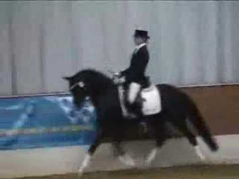 Hilken's Black Delight