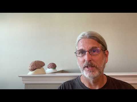 An Introduction to the Essentials of Neuroanatomy