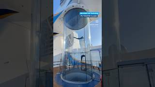 Voo Radical no Ripcord by iFly a Bordo do Odyssey of the Seas da Royal Caribbean!
