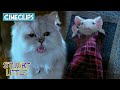 Snowbell Threatens Stuart Stuart Little CineStream