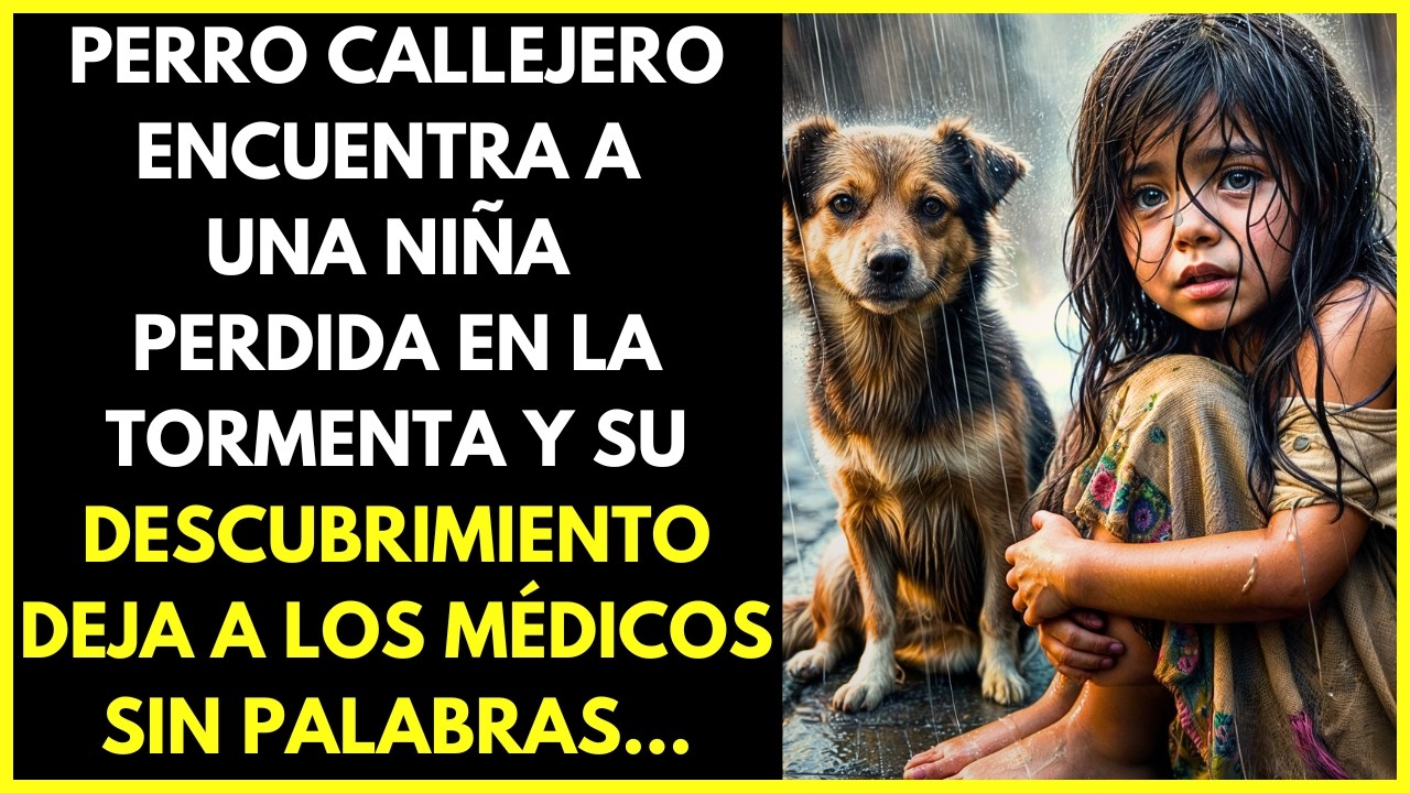 PERRO CALLEJERO ENCUENTRA A UNA NIÑA PERDIDA EN LA TORMENTA, LO QUE PASÓ DESPUÉS TE HARÁ LLORAR...