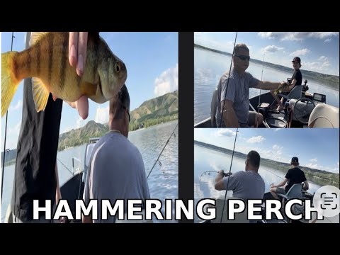 SUPER fun round lake walleye bite with my grandpa!  (Ft. Randy cam)