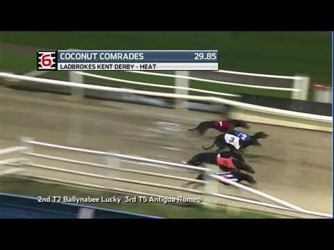 2020 LADBROKES KENT DERBY - HEAT 2 - T6 COCONUT COMRADES