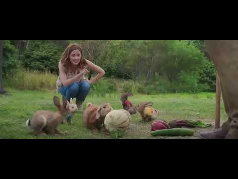 Pierre Lapin Film complet VF #enfants #lapin #comedie comedie