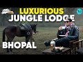 Luxurious Safari At One Of India S Oldest Forest Reserve Wanderluxe S02 Ep 02 Curly Tales