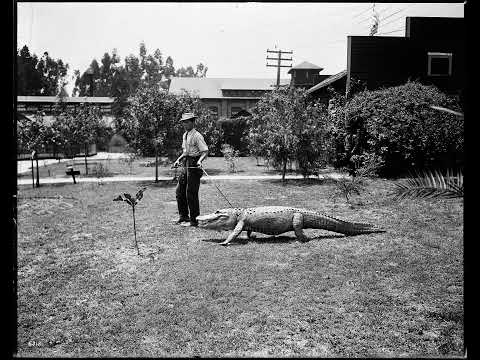 Conway The Machine x Benny The Butcher Type Beat "Calm With Consequences"