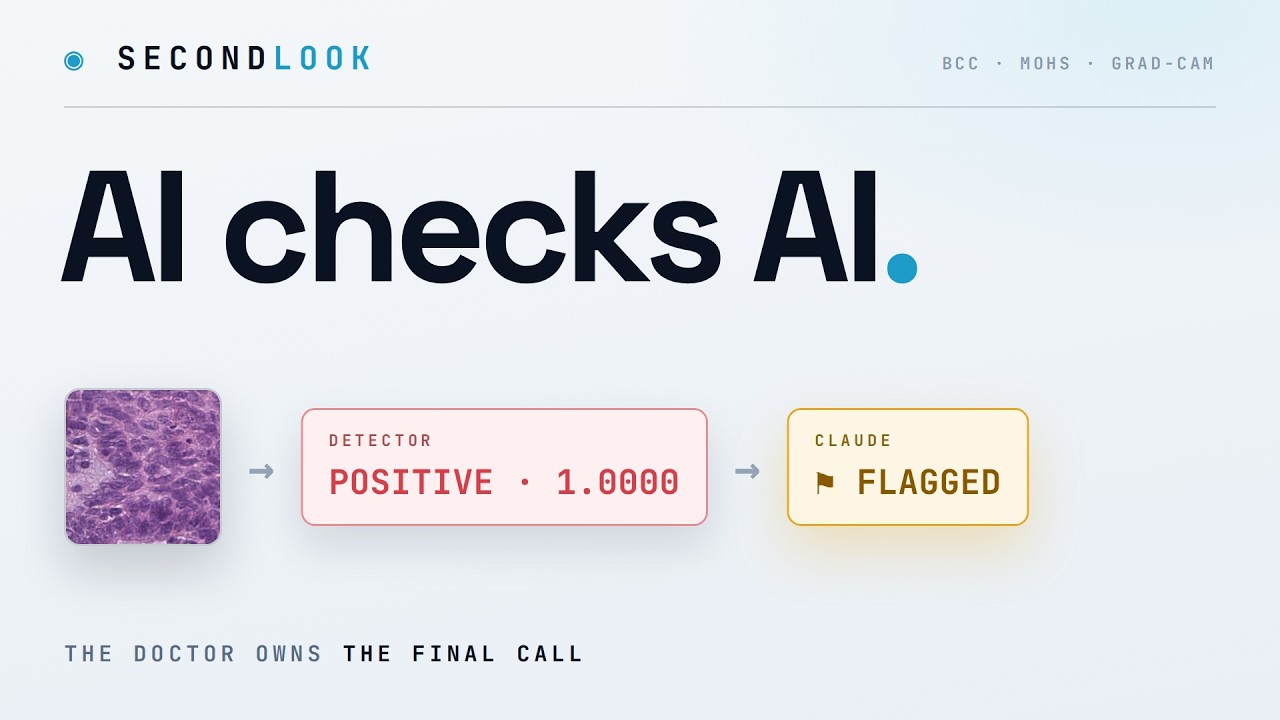 SecondLook project preview