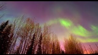 Unseen footage of Alaska