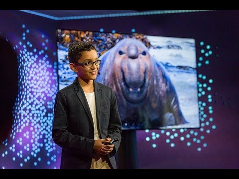 Cleaning our oceans: a big plan for a big problem