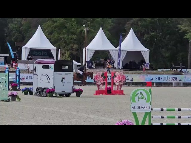 Caballo castrado Silla Franc&eacute;s En venta 2020 Alaz&aacute;n por quarnac du mesnil