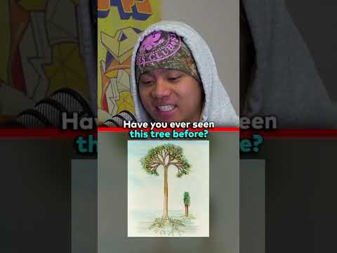 HAVE YOU SEEN THIS CURSED TREE 😱 EP.212 @jumpersjump