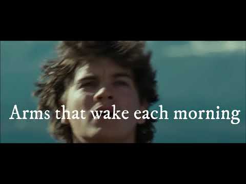 Rockettothesky - Grizzly Man (LYRICS)//INTO THE WILD