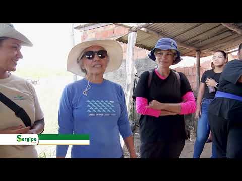 SERGIPE RURAL - PROGRAMA 55 - 2ª temporada