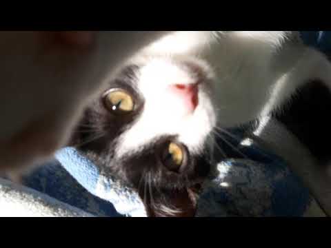 morning game with Lucky