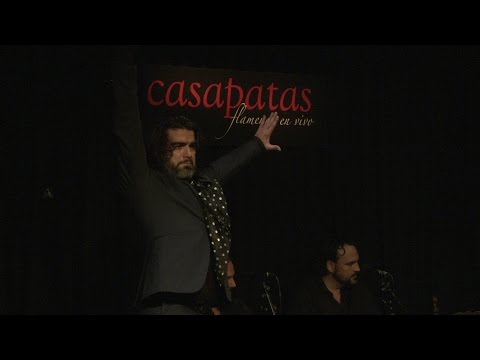 CASA PATAS, FLAMENCO EN VIVO #245 - POL VAQUERO