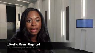 Virtual Enterprise Architects - Video - 1
