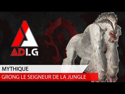ADLG vs Grong Le Seigneur De La Jungle - Mythic Bataille De Dazar'alor ( Battle Of Dazar'alor )