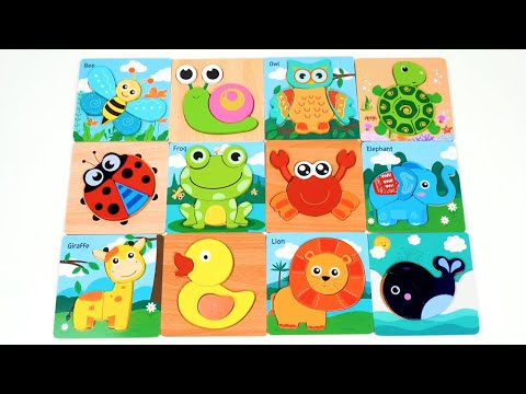 Animal Puzzle Time! 🦁🧠 Learn & Play! Fun Facts for Preschoolers