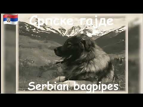 Српске гајде (Serbian bagpipes) - Ој ливадо росна траво
