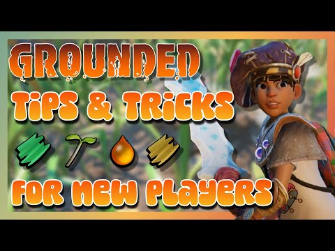 Grounded Tips & Tricks For New Players in 2024