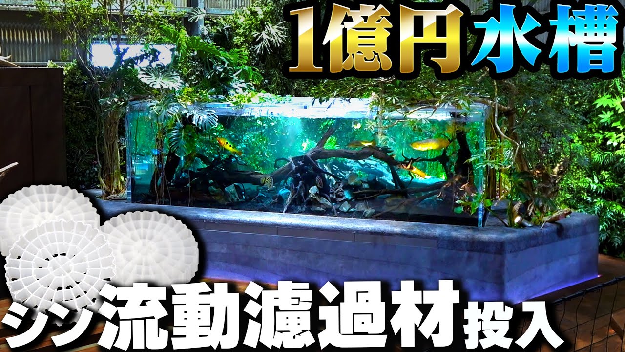【1億円水槽】巨大濾過槽に特許技術の流動濾過材を投入！