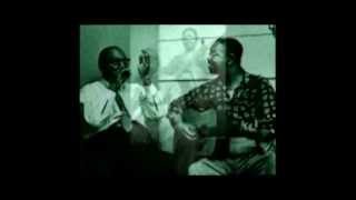harmonica hop by sonny Terry and brownie mac ghee